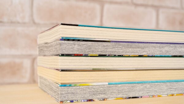 世界を魅了するMANGA：直訳では伝わらない「ニュアンス」とは